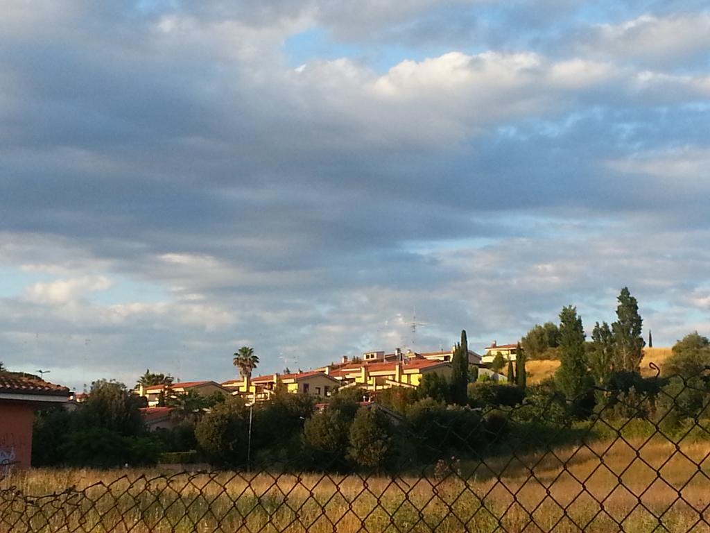 Girasolereale Roma