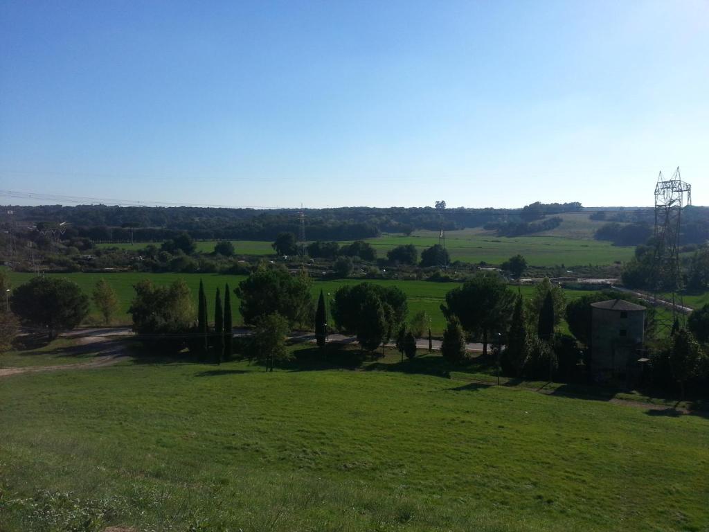 Girasolereale 2*